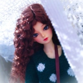 Долгожданная мечта - Minifee Shushu