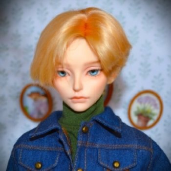 Рыжики и компания