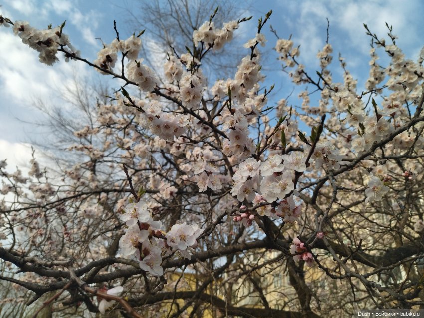 Виола в парке РЖД — Куклы Fairyland (ФэйриЛэнд): BJD (БЖД)