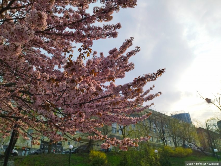 Виола в парке РЖД — Куклы Fairyland (ФэйриЛэнд): BJD (БЖД)