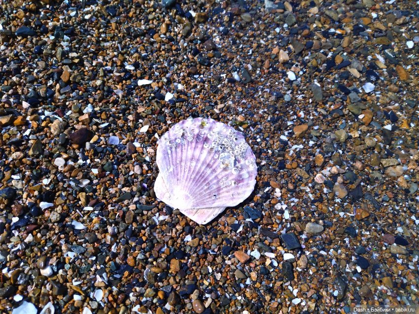 Морской берег Седанки — Куклы Fairyland (ФэйриЛэнд): BJD (БЖД) (фото 8)