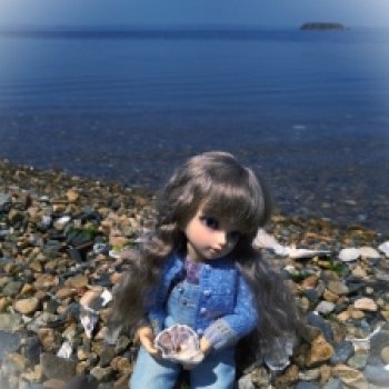 Морской берег Седанки