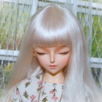 Распределение новых париков