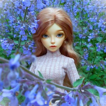 Лавандовая мята