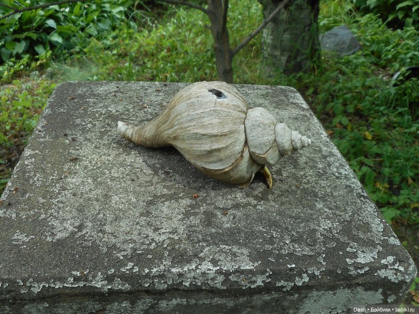 Заброшенный парк — Куклы Fairyland (ФэйриЛэнд): BJD (БЖД) (фото 5)