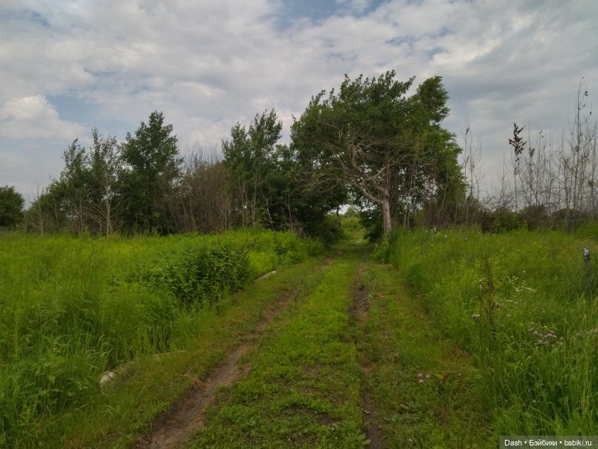 Деревенское лето Густи — Куклы Fairyland (ФэйриЛэнд): BJD (БЖД) (фото 5)