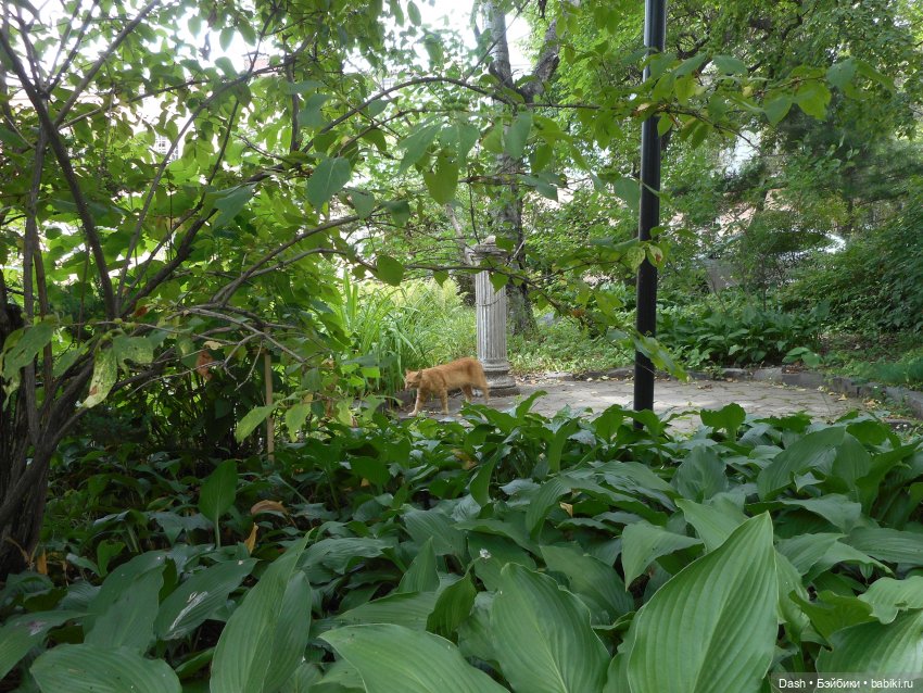 Заброшенный парк — Куклы Fairyland (ФэйриЛэнд): BJD (БЖД) (фото 7)