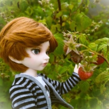 Деревенское лето Густи