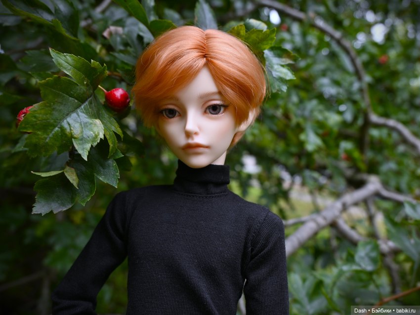 Любимое время года | Бэйбики Любимое время года — Куклы Fairyland (ФэйриЛэнд): BJD (БЖД) (фото 8)