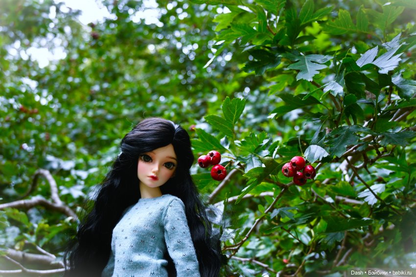 Любимое время года | Бэйбики Любимое время года — Куклы Fairyland (ФэйриЛэнд): BJD (БЖД) (фото 5)