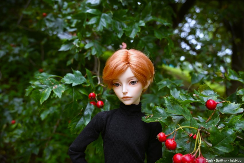 Любимое время года | Бэйбики Любимое время года — Куклы Fairyland (ФэйриЛэнд): BJD (БЖД) (фото 9)