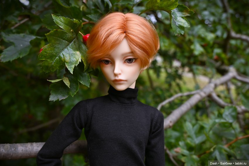 Любимое время года | Бэйбики Любимое время года — Куклы Fairyland (ФэйриЛэнд): BJD (БЖД) (фото 7)