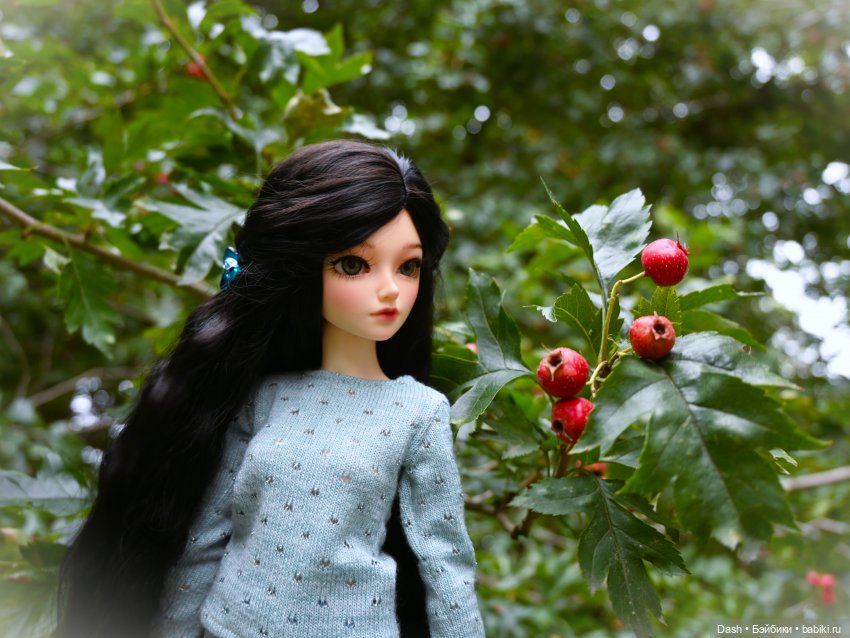 Любимое время года | Бэйбики Любимое время года — Куклы Fairyland (ФэйриЛэнд): BJD (БЖД) (фото 4)