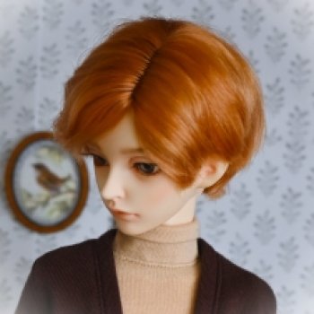 Рыжики и компания