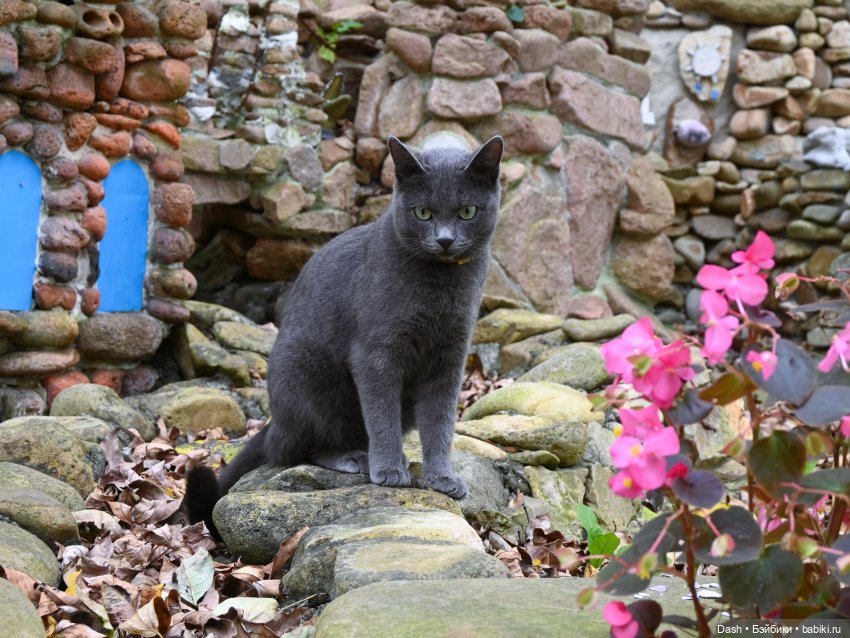 У врат времени. Или тайна векового парка (фото 9)