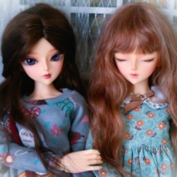 ЭльвиНора: попытка номер два