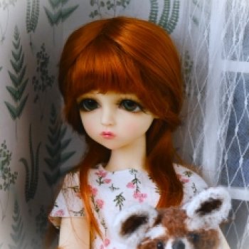 Моя Михаила