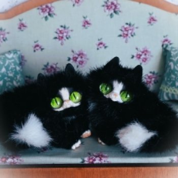 Коты прилетели!