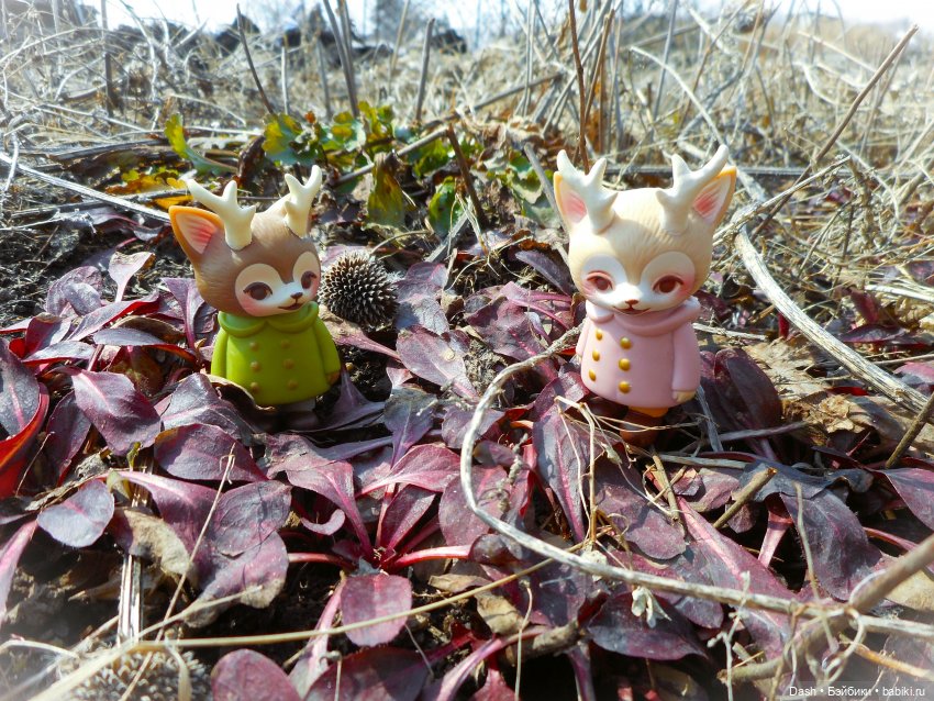 Возвращение в дачный дом — Куклы LeekeWorld (Лике): BJD (БЖД)