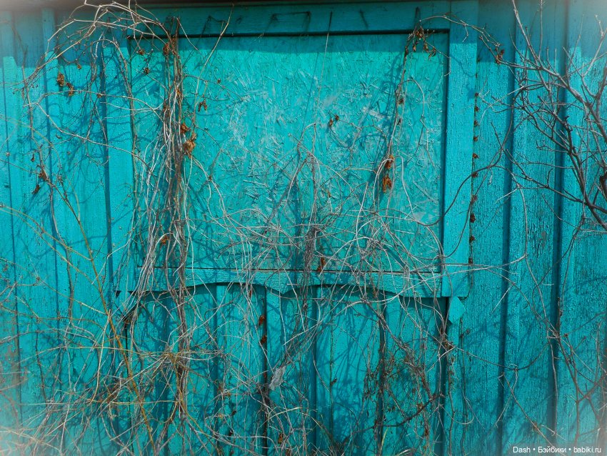 Возвращение в дачный дом — Куклы LeekeWorld (Лике): BJD (БЖД)