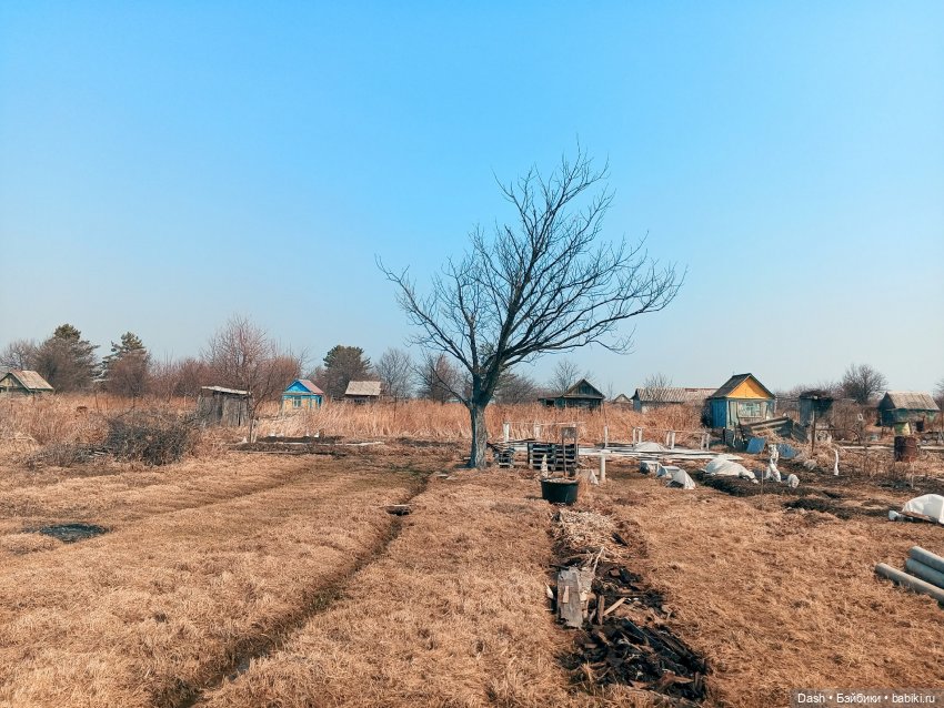 Возвращение в дачный дом — Куклы LeekeWorld (Лике): BJD (БЖД) (фото 7)