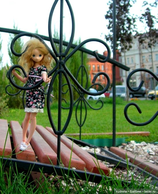 Луна: голова Parabox на теле Azone L