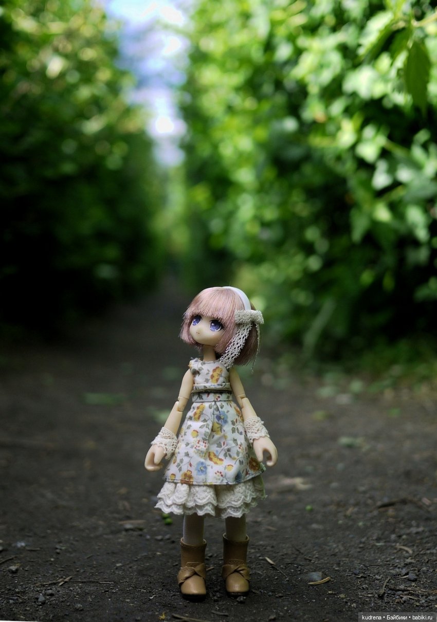 Маленькая серьёзная азонка