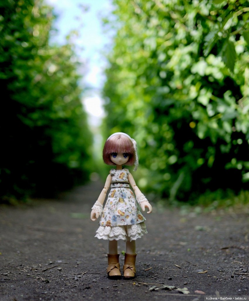 Маленькая серьёзная азонка