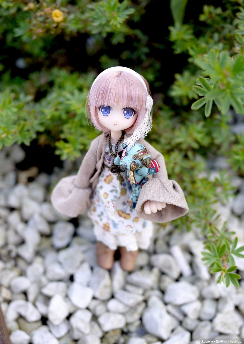 Маленькая серьёзная азонка