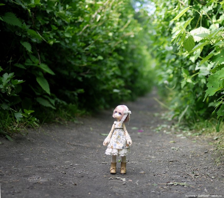 Маленькая серьёзная азонка