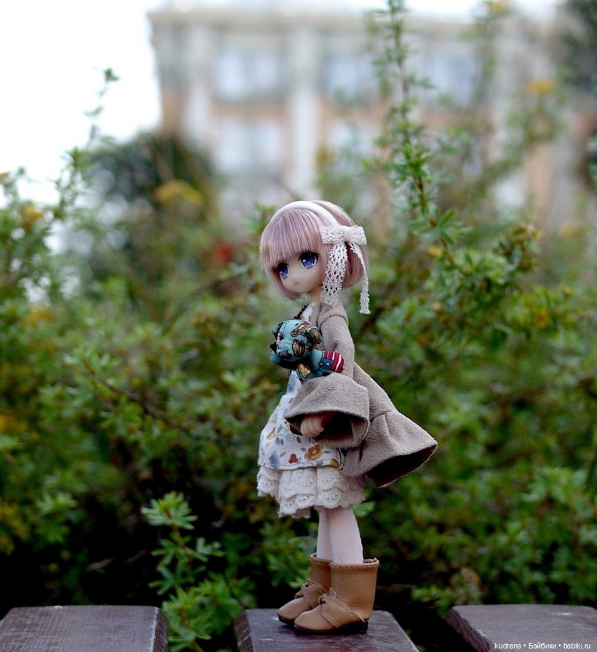 Маленькая серьёзная азонка