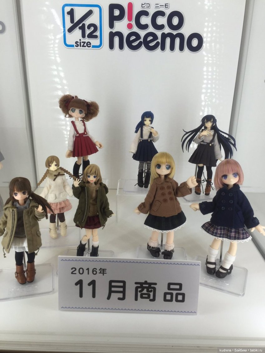 Маленькая серьёзная азонка