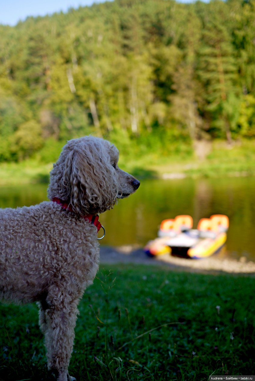 Яна на Ай — Разные куклы BJD (БЖД): редкие бренды