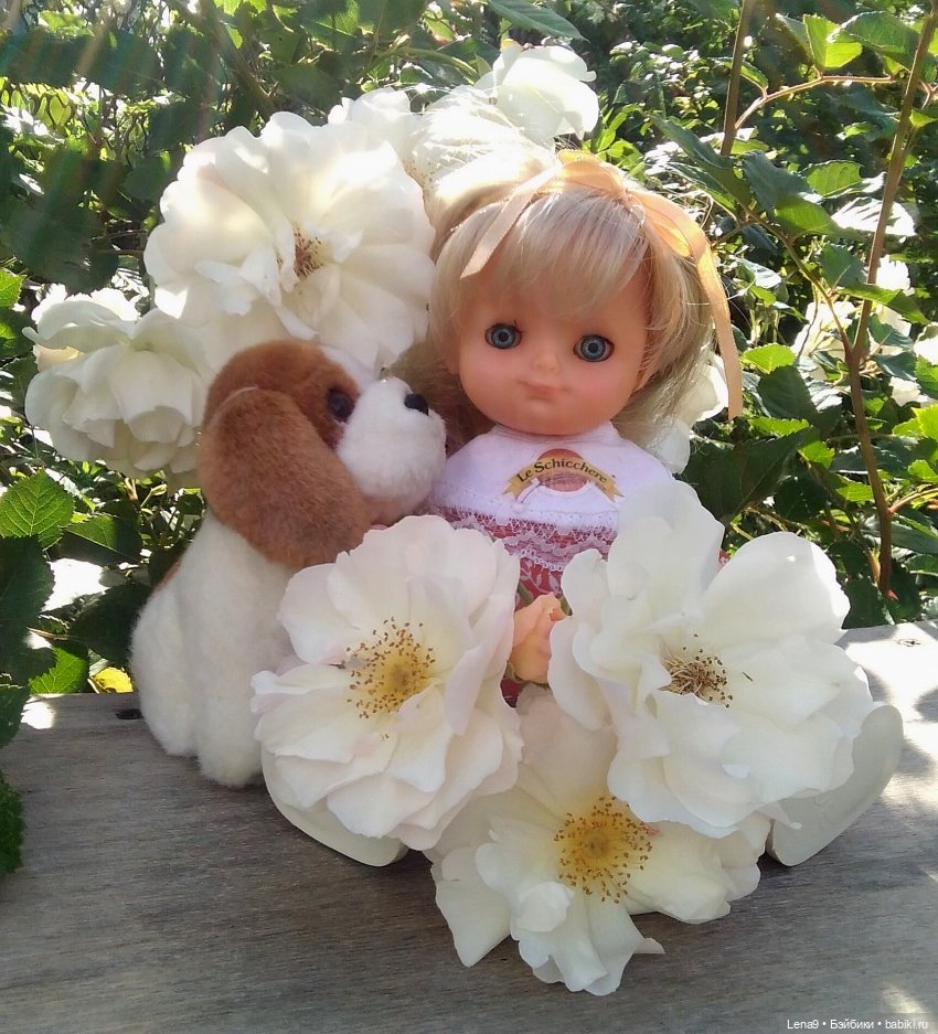 Павлинка, Штрудель и лето (фото 4)