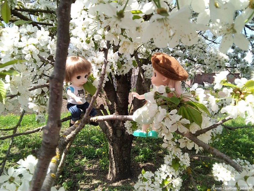 Энрике и Эмма. Свидание — Куклы Baboliy (Баболи