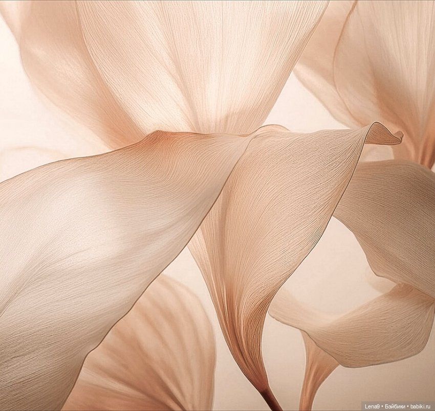 Кофейный мусс ☕🥧 Цвет года от Pantone (фото 6)