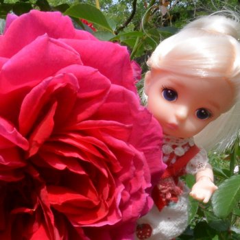 Моя прекрасная леди Soul (Душечка)