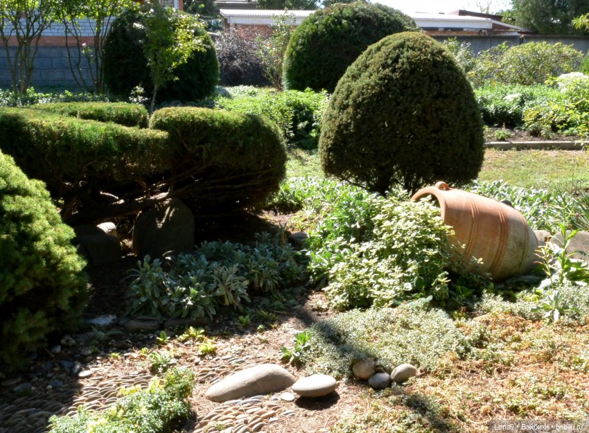 Итальянский дворик — Красивая природа и цветы: фото пейзажей (фото 9)