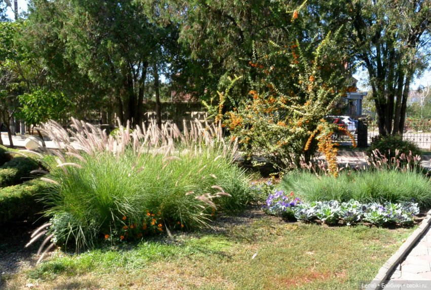 Итальянский дворик — Красивая природа и цветы: фото пейзажей