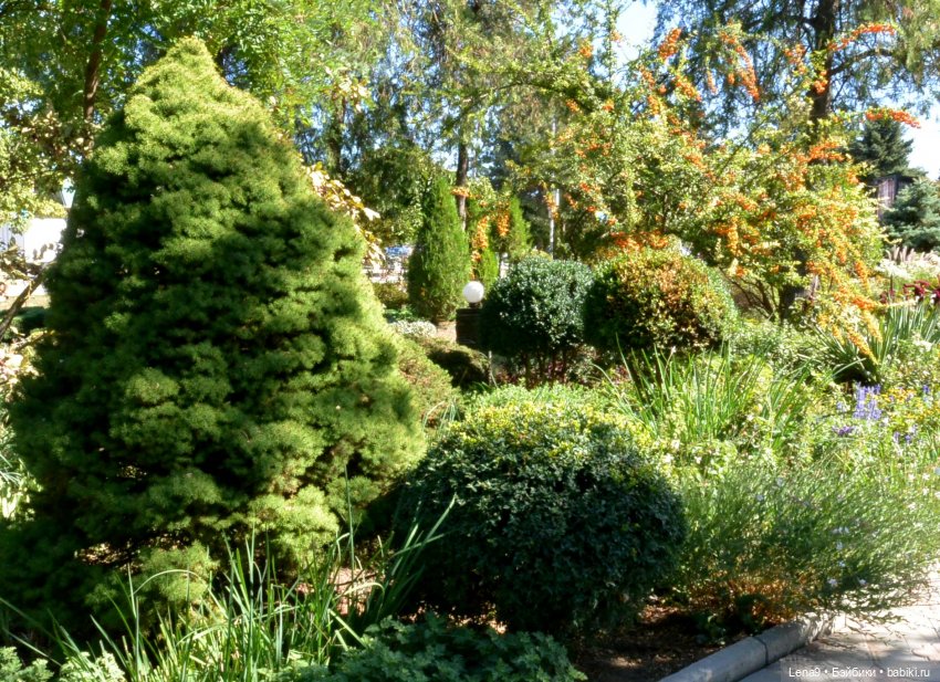 Итальянский дворик — Красивая природа и цветы: фото пейзажей (фото 10)