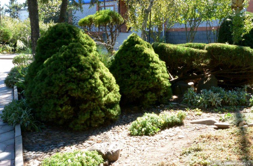 Итальянский дворик — Красивая природа и цветы: фото пейзажей (фото 2)