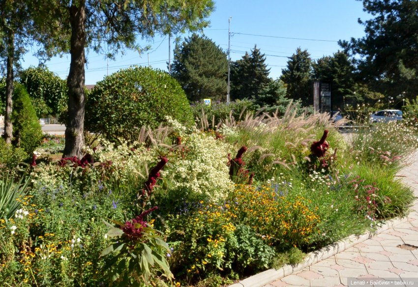 Итальянский дворик — Красивая природа и цветы: фото пейзажей