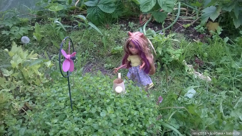 Ромашковое настроение — Куклы Monster High и Ever After High: G1