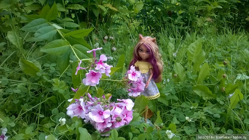 Ромашковое настроение — Куклы Monster High и Ever After High: G1 (фото 5)