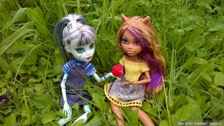 Ромашковое настроение — Куклы Monster High и Ever After High: G1 (фото 9)