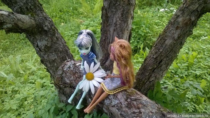 Ромашковое настроение — Куклы Monster High и Ever After High: G1 (фото 6)