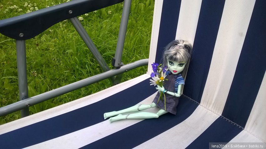 Ромашковое настроение — Куклы Monster High и Ever After High: G1 (фото 10)
