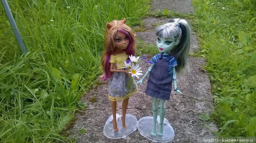 Ромашковое настроение — Куклы Monster High и Ever After High: G1