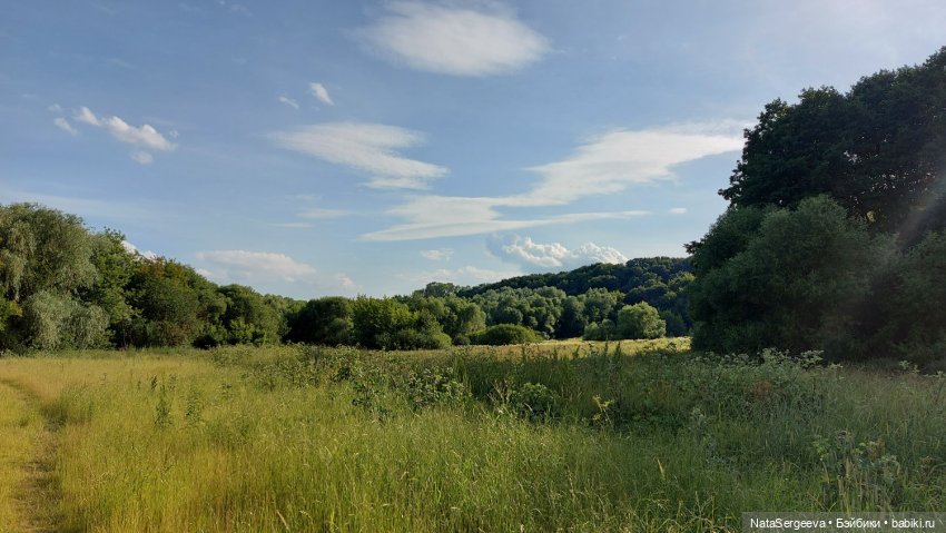 Мелисса гуляет в лугах Коломенского парка | Бэйбики Мелисса гуляет в лугах Коломенского парка