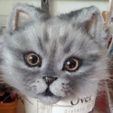 Котенок